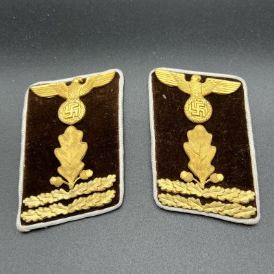 Collar Tabs of a Haupt-Abschnittsleiter of a District Party Organization (New Pattern).