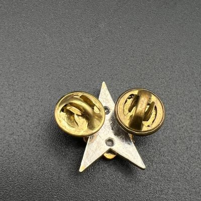 U.S. Army Command or Headquarters Collar Insignia (Silver Star with Great Seal)