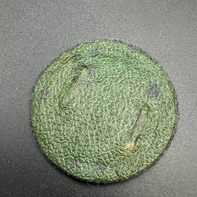Motor Vehicle Driver’s Proficiency Badge in Bronze